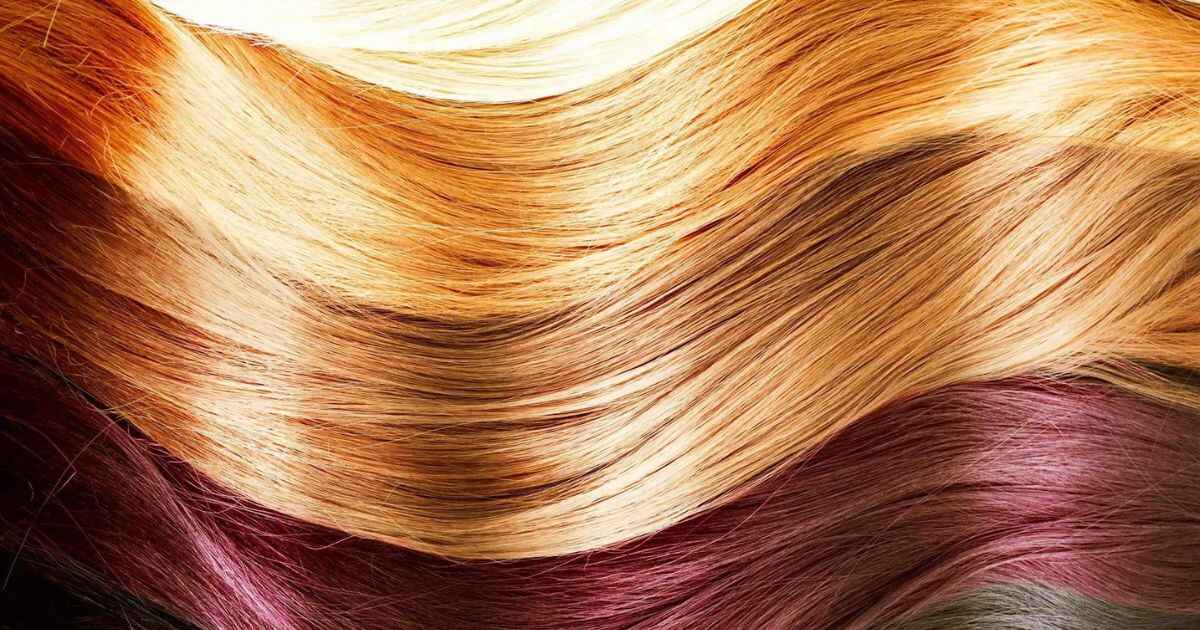 Best Fall Hair Colors 2023