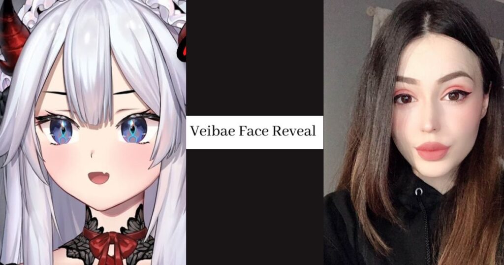 Veibae Face Reveal Unveiling the VTuber's Mystery